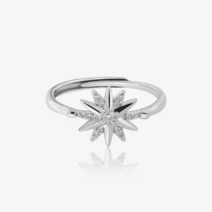 Aurora Light Ring